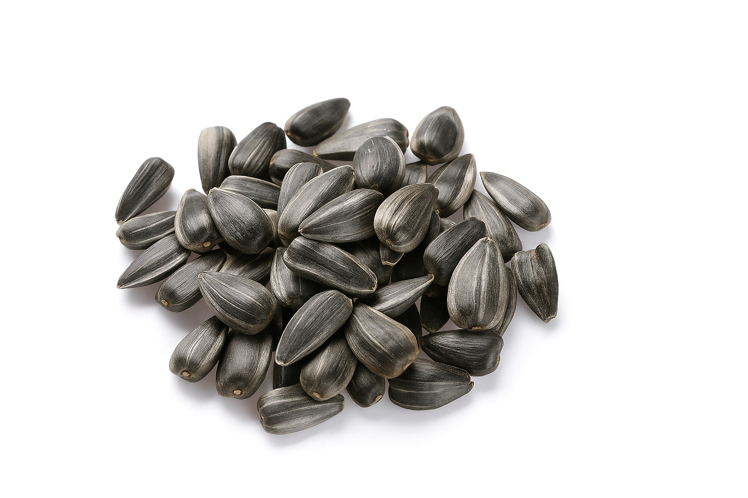 Sunflower Seeds